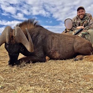 Hunting South Africa Black Wildebeest