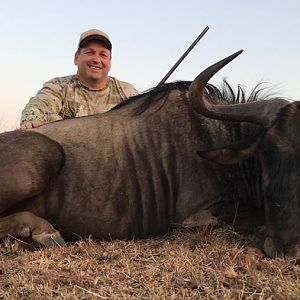 Blue Wildebeest Hunting in South Africa