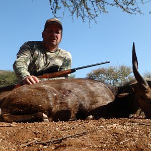 South Africa Hunting Bushbuck