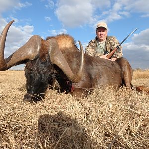 Hunting South Africa Black Wildebeest