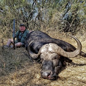 Cape Buffalo South Africa Hunt