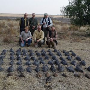 South Africa Bird Hunting