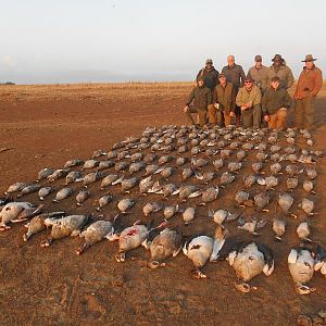 South Africa Wing Shooting