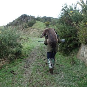 Hunting New Zealand