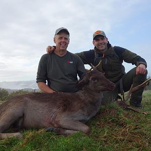 New Zealand Hunting Deer