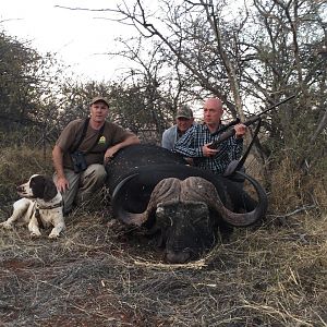 Cape Buffalo Hunt South Africa