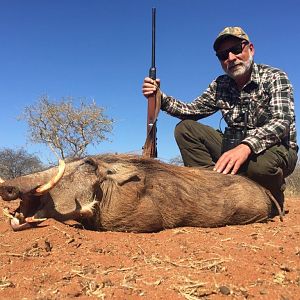 South Africa Warthog Hunt