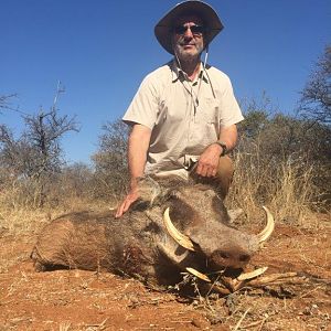 South Africa Warthog Hunt