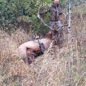 Bow Hunting Elk