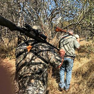 Tracking & Hunting Cape Buffalo South Africa