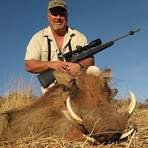 South Africa Warthog Hunt