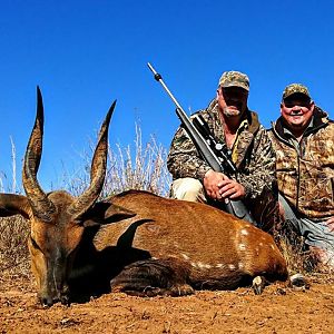 Bushbuck  Hunting South Africa