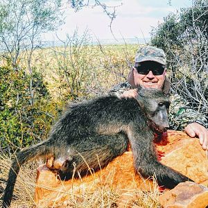 Baboon Hunt South Africa