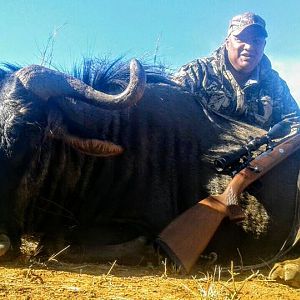 South Africa Blue Wildebeest Hunting