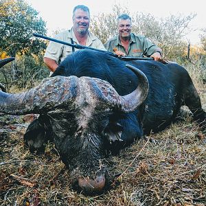 South Africa Cape Buffalo Hunt