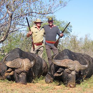 Epic buffalo safari