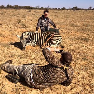 Burchell's Plain Zebra Hunting