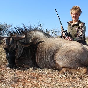 Blue Wildebeest Hunting