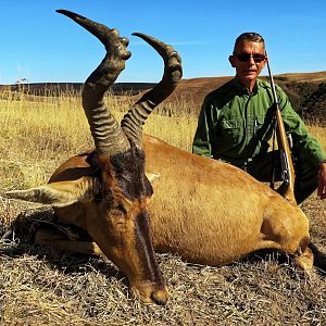 Red Hartebeest Hunt