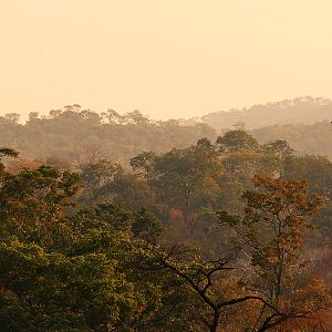 Luangwa Valley Zambia