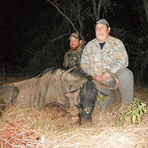 South Africa Blue Wildebeest Cull Hunting