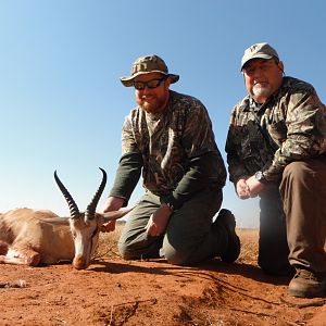 Springbok Cull Hunting South Africa