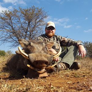 South Africa Warthog Hunt