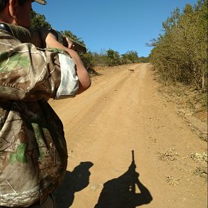 Blue Duiker Hunting South Africa