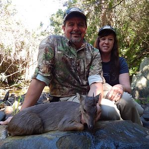 Blue Duiker Hunting South Africa