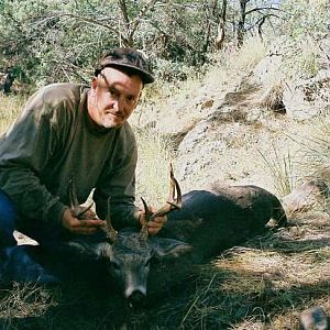 Whitetail Deer Hunt Arizona