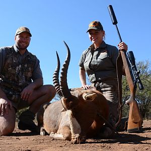 Hunting Blesbok South Africa