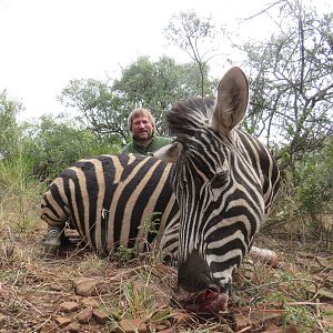 Hunt Zebra in South Africa