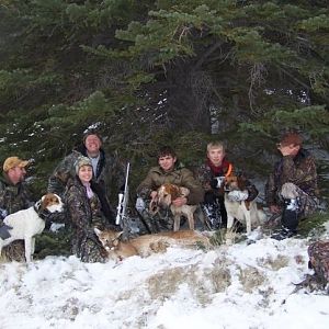 Utah Cat Hunt