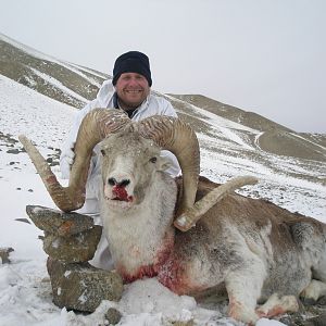 Stone Sheep hunting Ketchika