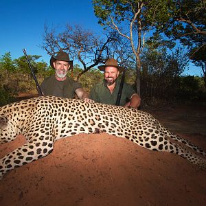 Leopard Hunt Waterberg Plateau, Namibia