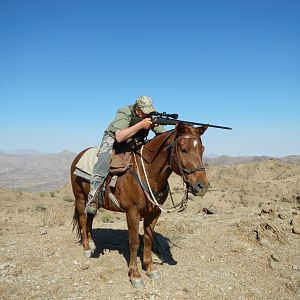 Hunting on Horseback