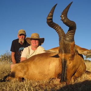 Red Hartebeest Hunt South Africa