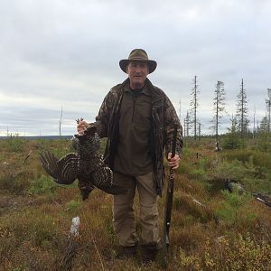 Bird Hunting Black Grouse