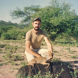 Salt's Dik-Dik Hunt Awash, Ethiopia