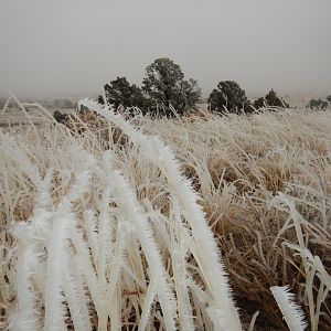 A Cold day Elk hunting