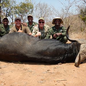 Hunting Buffalo