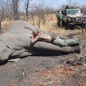 Bow Hunting Elephant