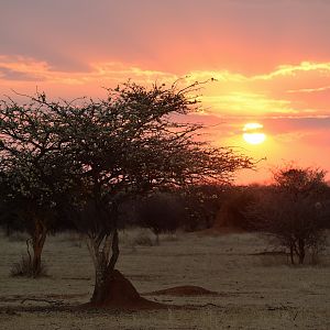 Namibia Sunset