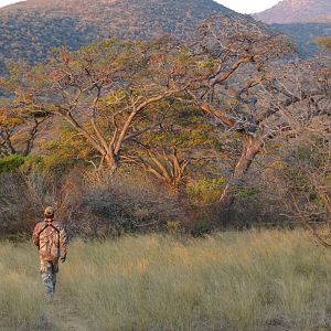 Beautiful Soutspanberg Mountians of Limpopo South Africa