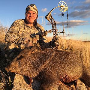 Javelina Bow Hunt