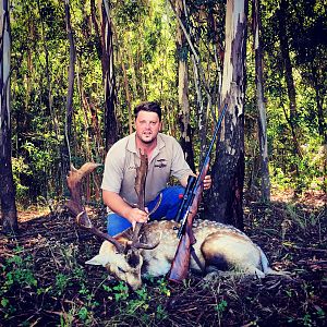 Fallow Deer Hunt