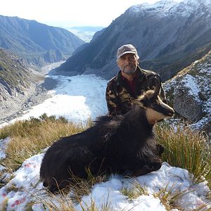 Chamois Hunt New Zealand