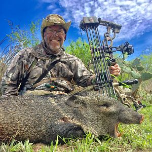 Hunt Javelina