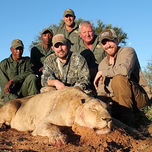 Lioness Hunt