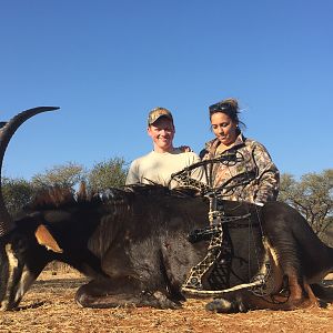 Bow Hunt Sable Antelope South Africa